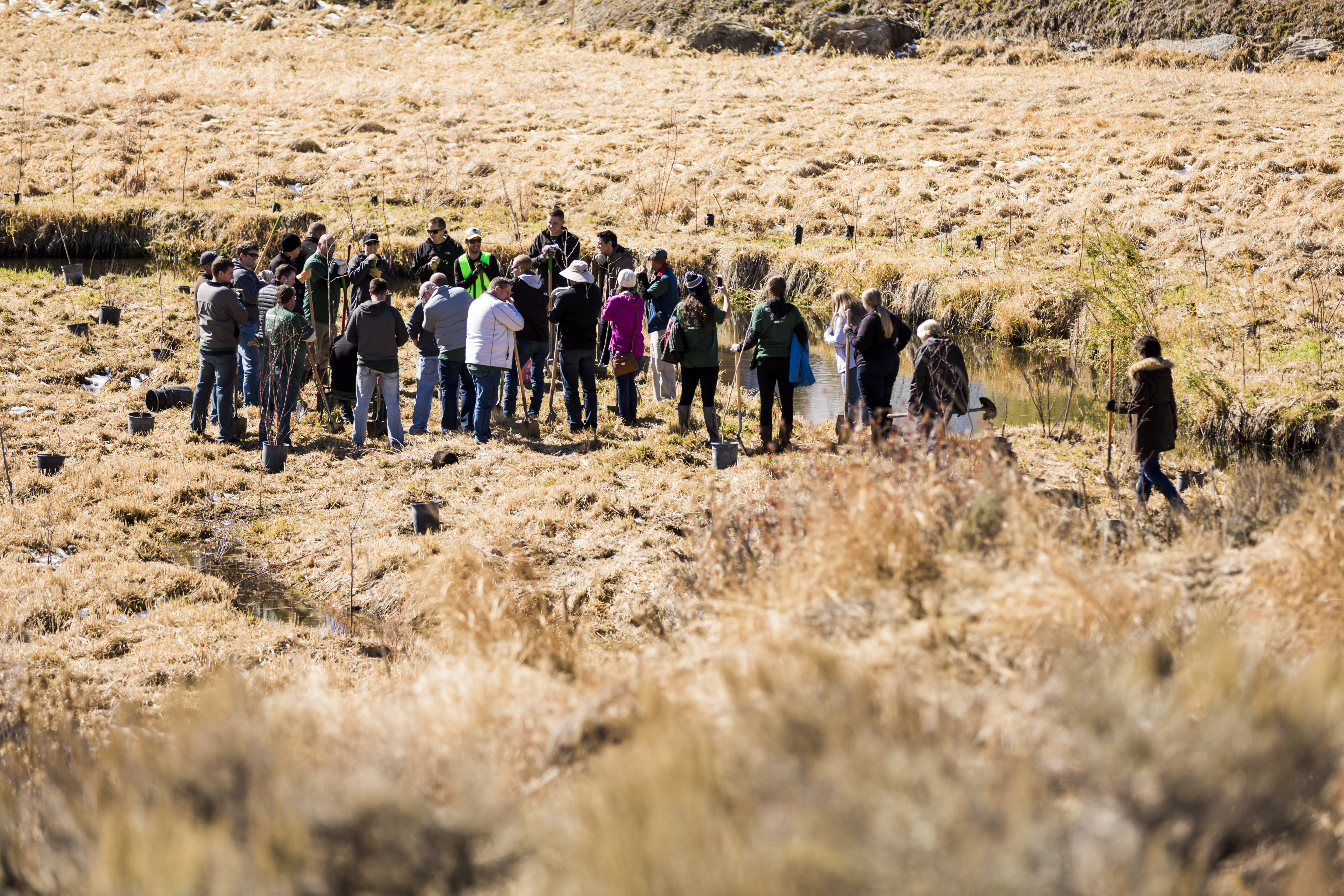 1250 Native Trees Donated to Swaner Nature Preserve in Park City