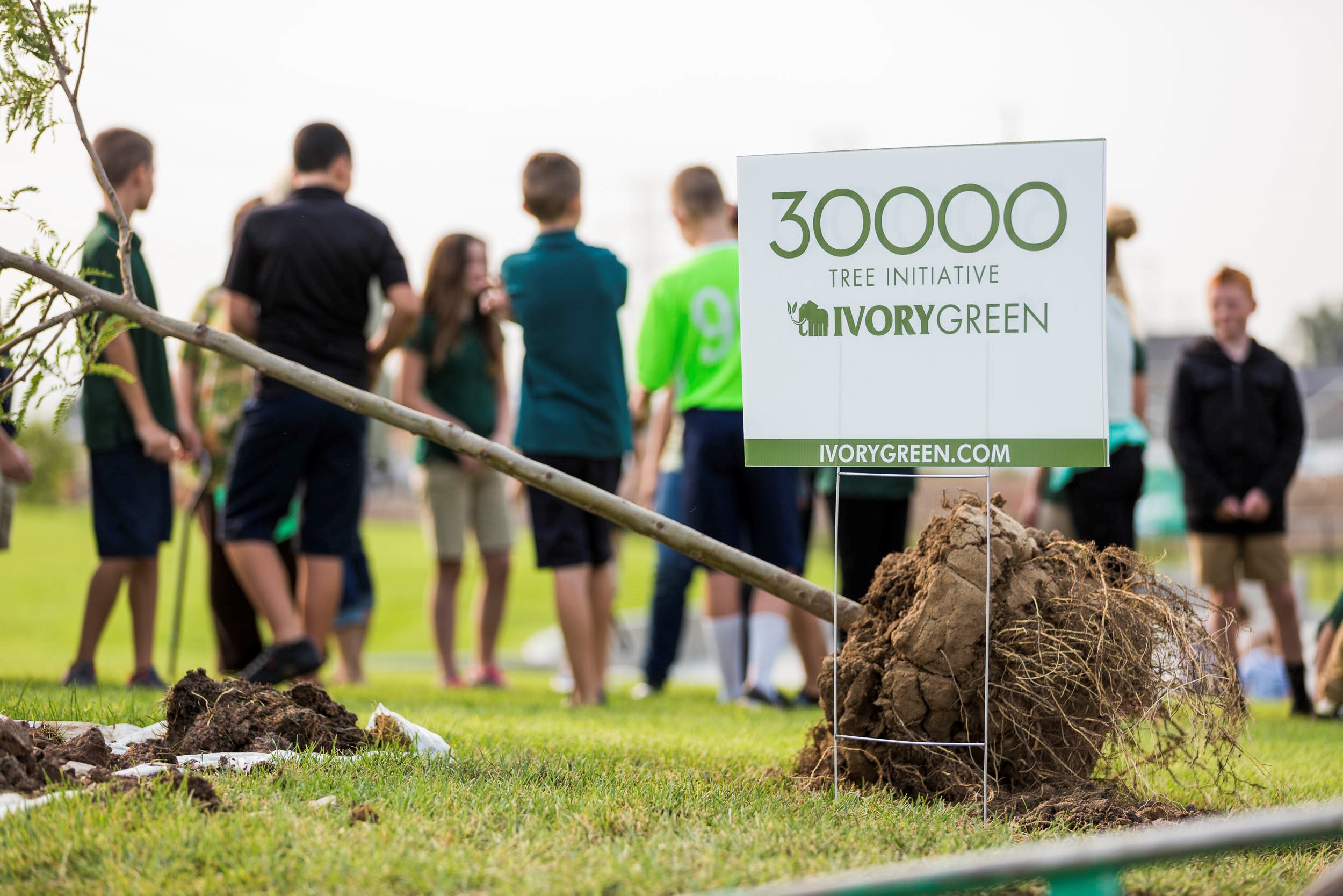 Elementary Students Learn the Importance of Trees