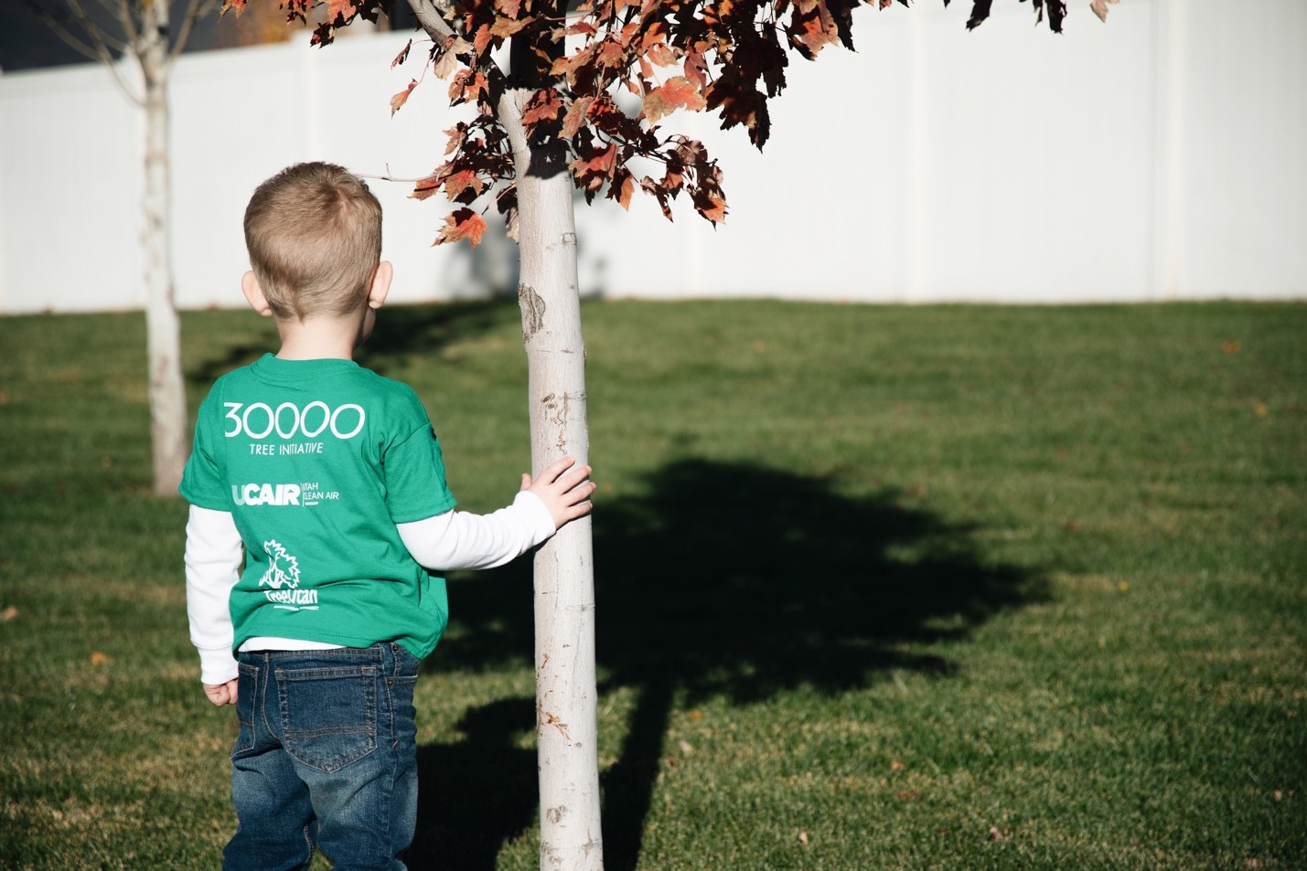 Ivory Homes Colony Pointe Community Receives 41 New Trees