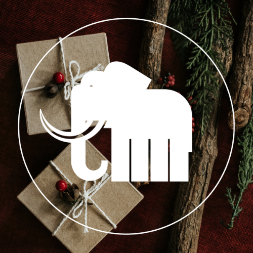 Tips for Decorating your Home for the Holidays